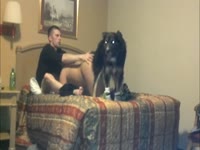 Slut sucks boyfriend's dick while having dog sex
